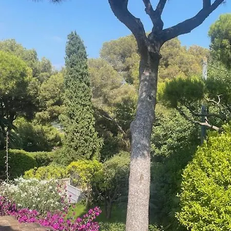 De Charme Au Coeur Du Cap-ferrat
