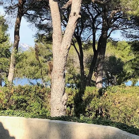Villa De Charme Au Coeur Du Cap-ferrat *