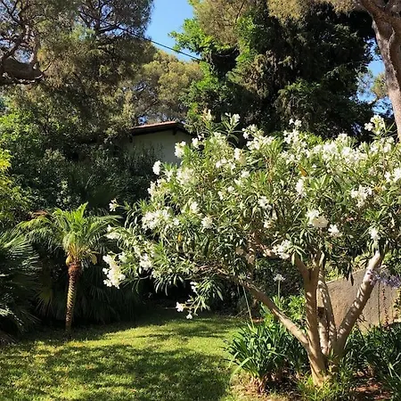 De Charme Au Coeur Du Cap-ferrat
